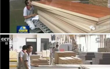 央视一套《欧宝(中国)联播》在说霍尔茨，你知道么？