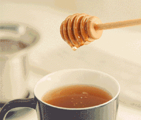 霍尔茨整装体验馆盛大开业！